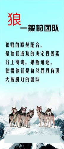 生成语法理论(乔kaiyun官方网站姆斯基转换生成语法理论)