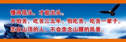 kaiyun官方网站:液压顶升设备多少钱(液压顶升设备有限公司)